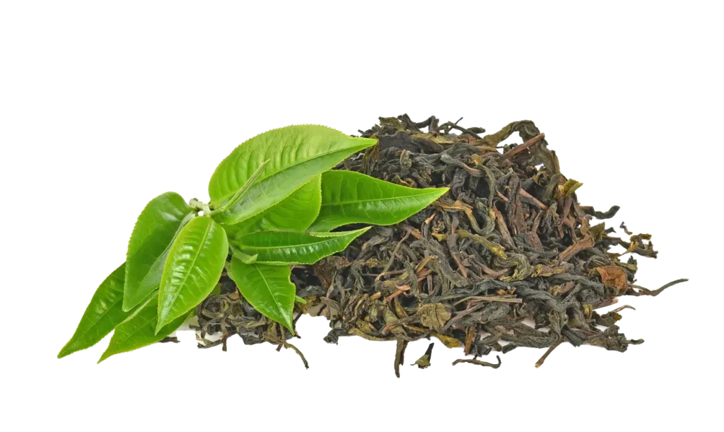 green tea leaf isolated white background 2